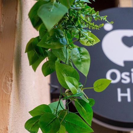 Apartament Osito Hub - Poeta Duran Walencja Zewnętrze zdjęcie